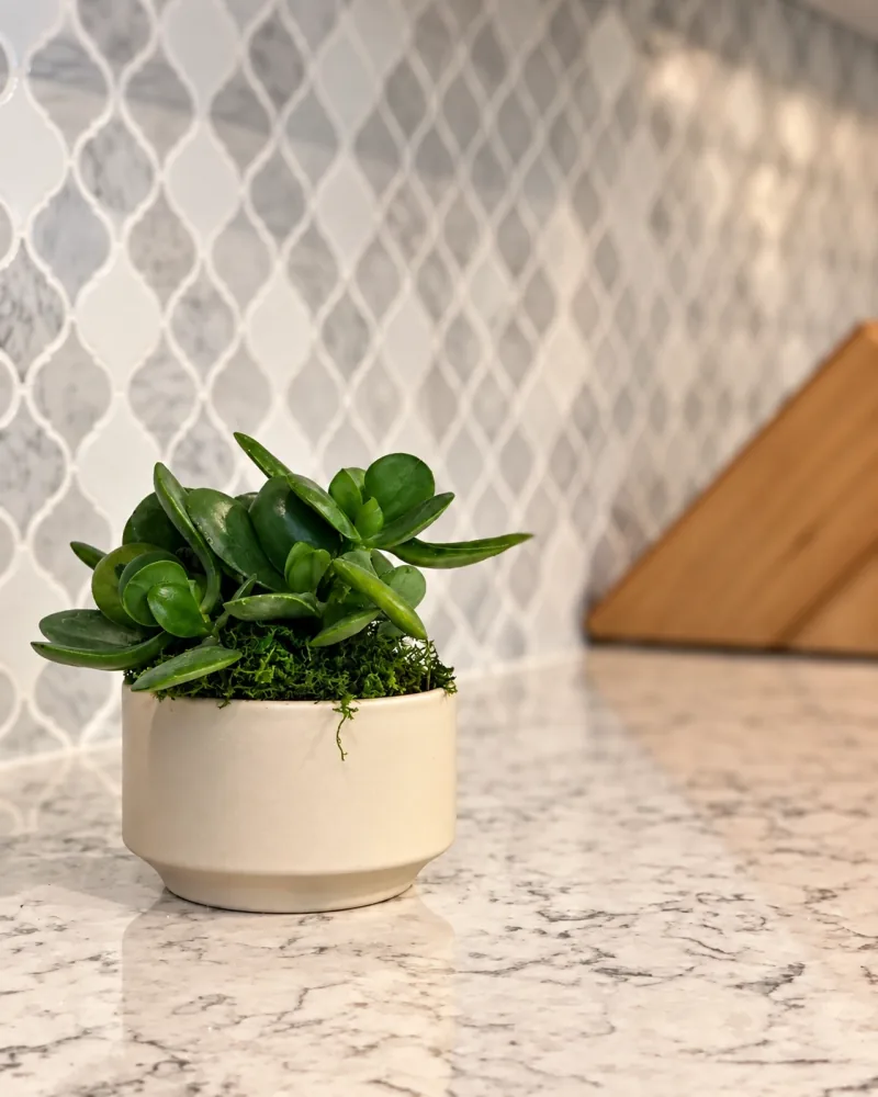 Quartz counter and arabesque backsplash